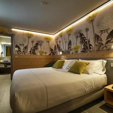 Perruquet 3 Stelle Superior