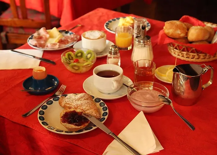 Perruquet 3 Stelle Superior 3*