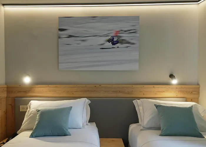 Perruquet 3 Stelle Superior