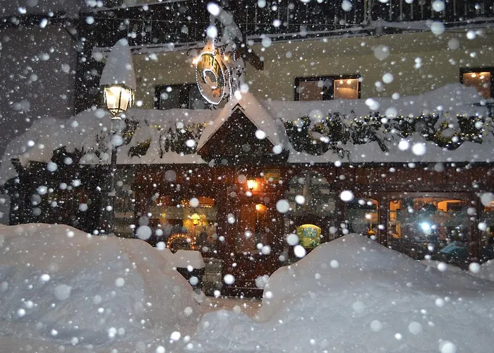 Hotel Perruquet 3 Stelle Superior 3*