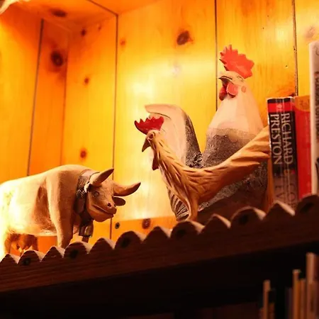 Отель Perruquet 3 Stelle Superior 3*